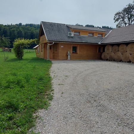 Apartma Markelj Radovljica Bagian luar foto